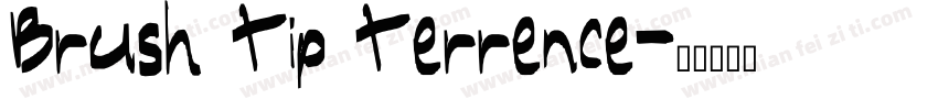 Brush Tip Terrence字体转换